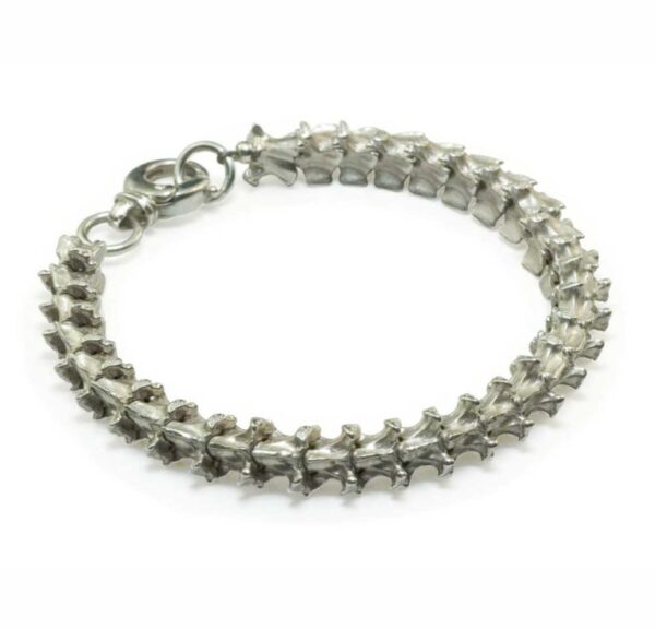 Silver snake vertebra bracelet